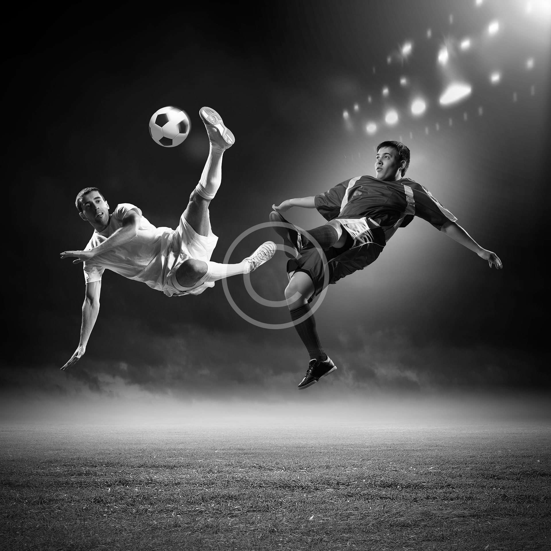 Zona de degustación acogedora